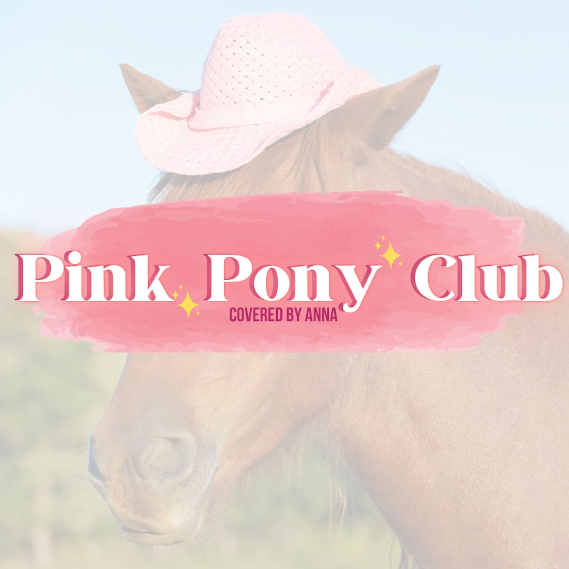 Album cover of Pink Pony Club