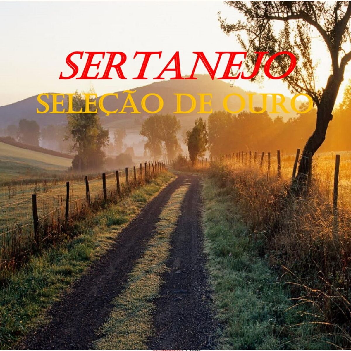 Album cover of Sertanejo Seleção de Ouro