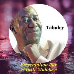 Cover of Presentation Par & Instr Mulopwe