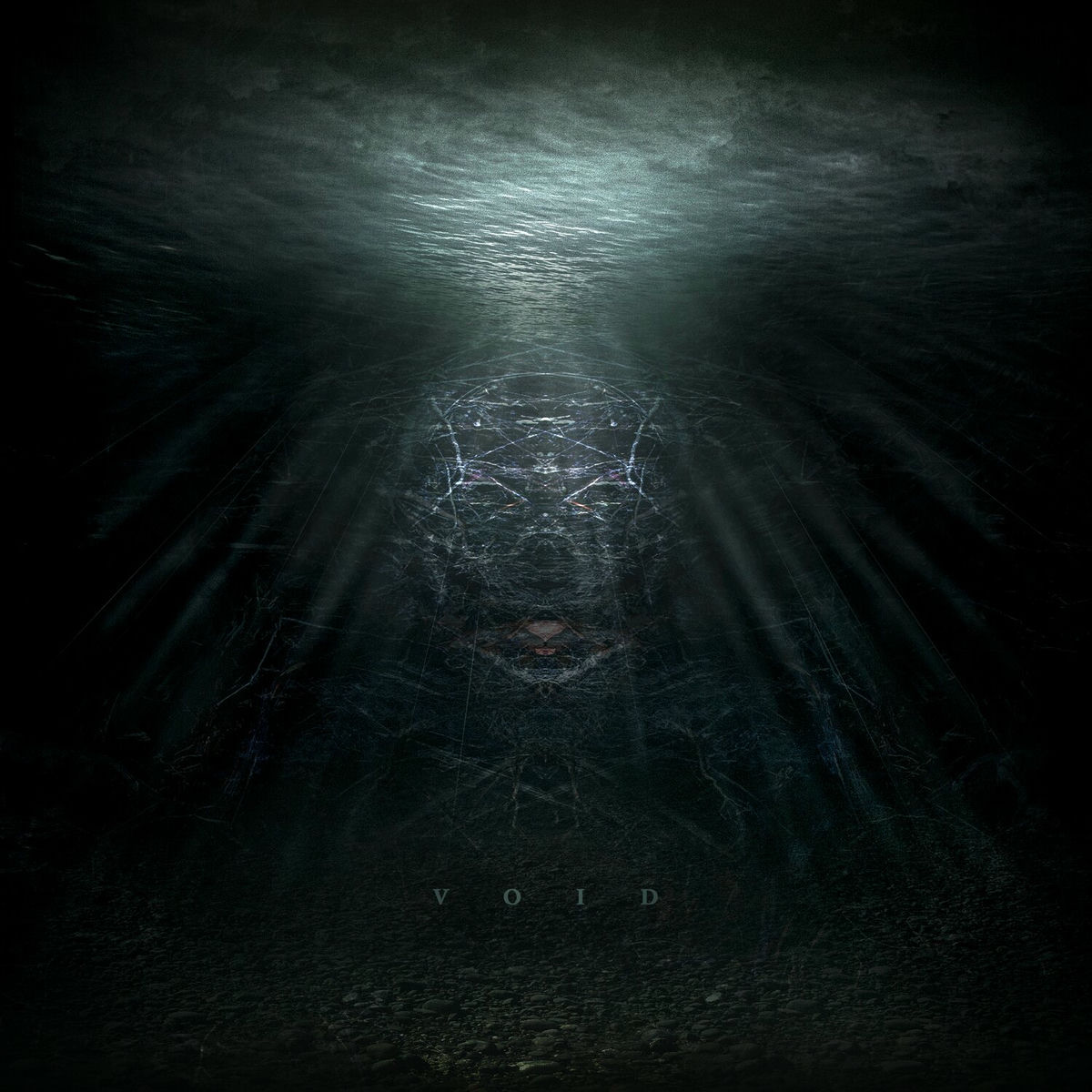Album cover of Void