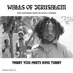 Cover of The Walls Of Jerusalem