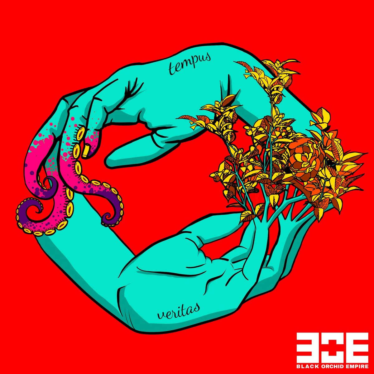 Album cover of Tempus Veritas