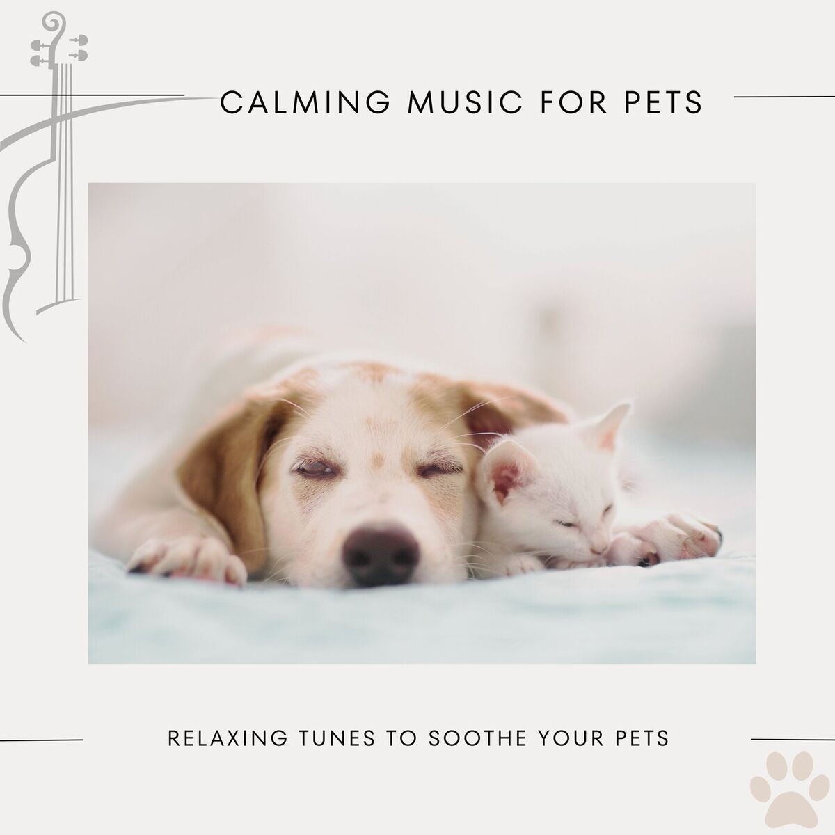 Album cover of Calming Music for Pets