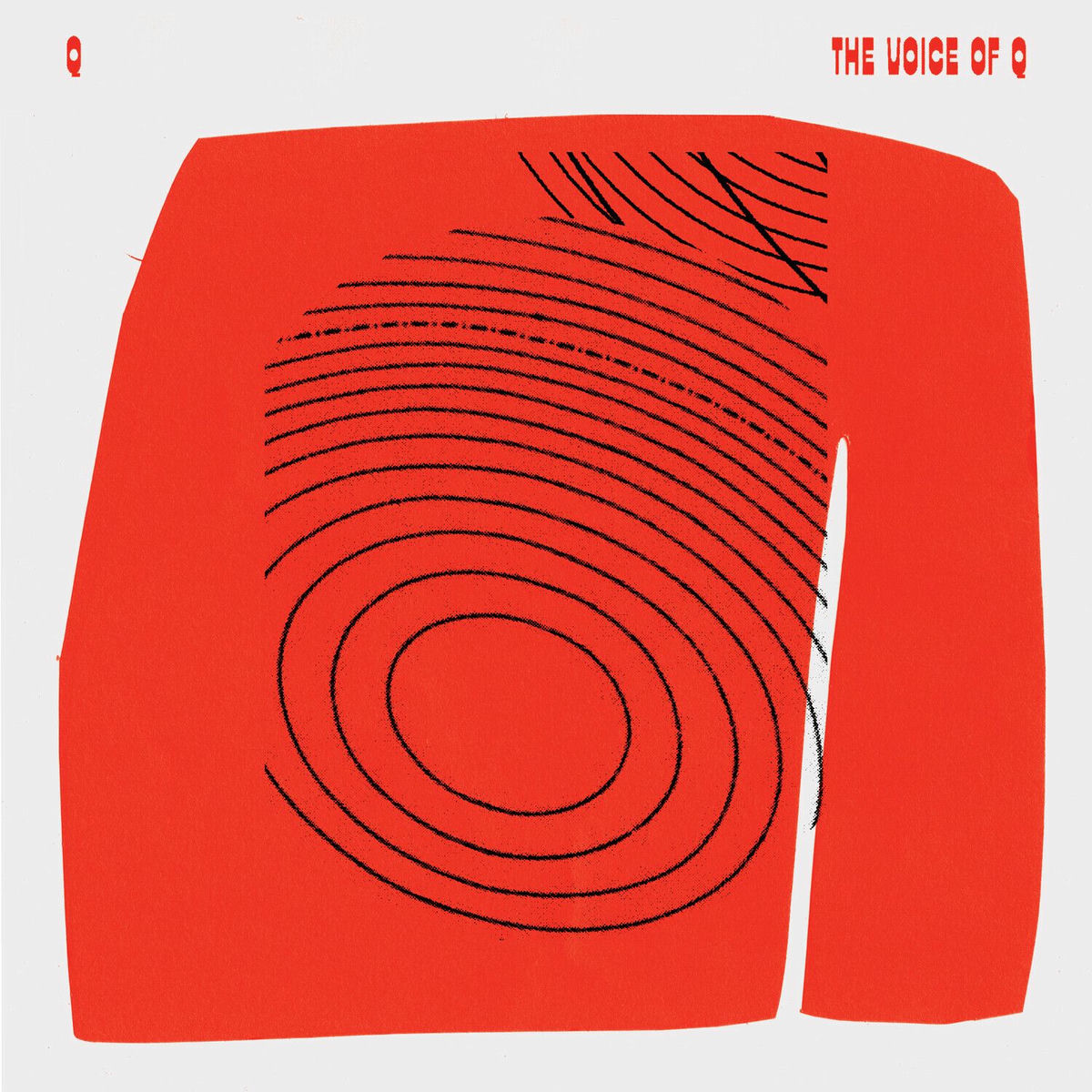 Album cover of The Voice Of Q