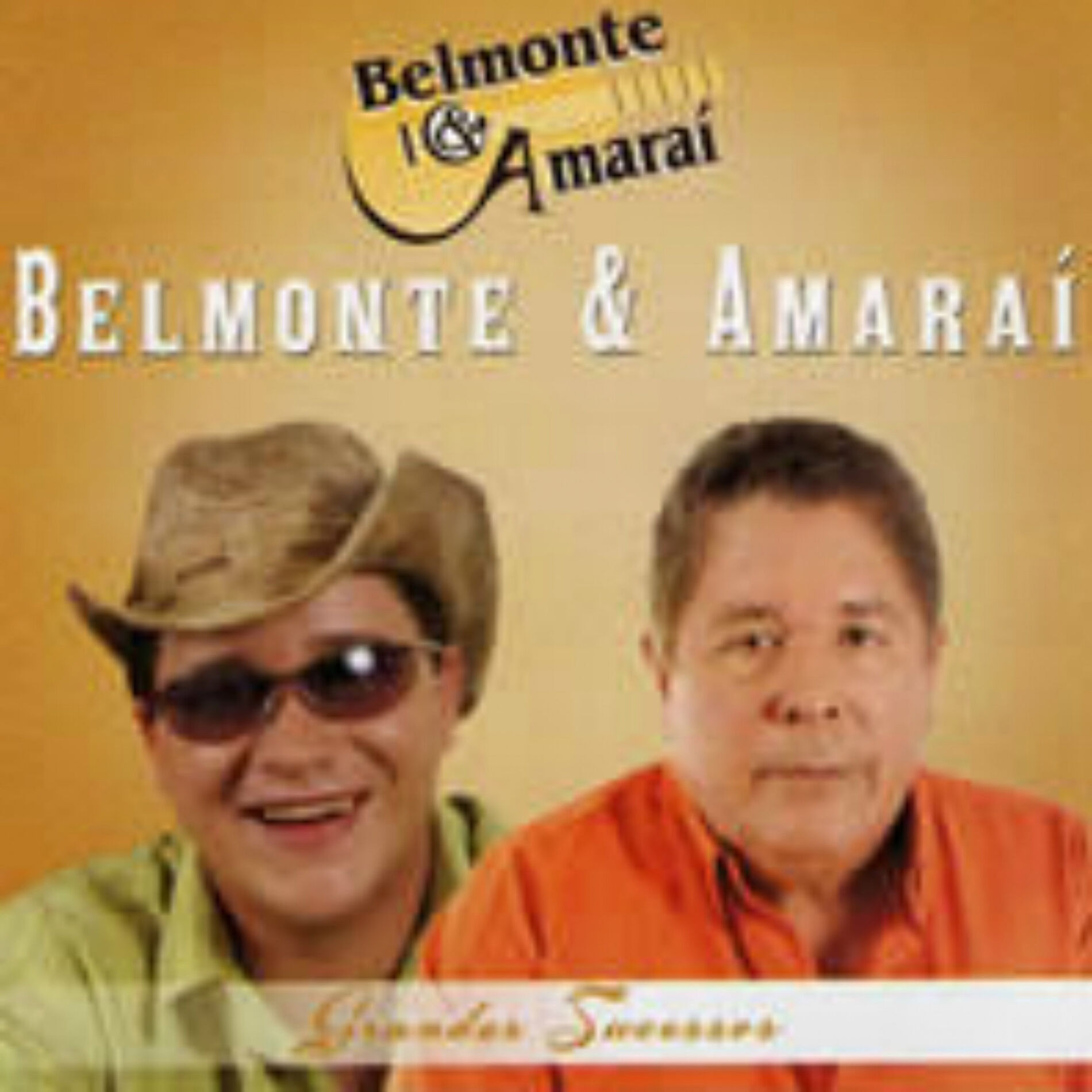 Album cover of Grandes Sucessos