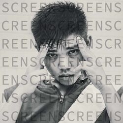 Cover of Screens