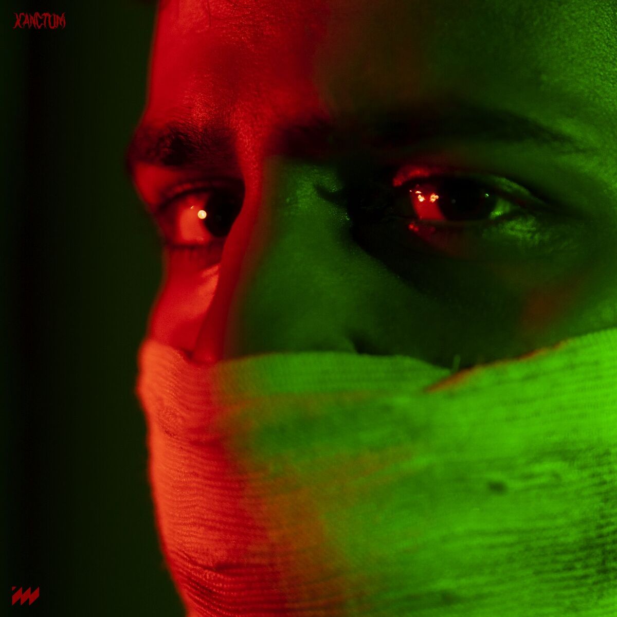 Album cover of Phonky Land