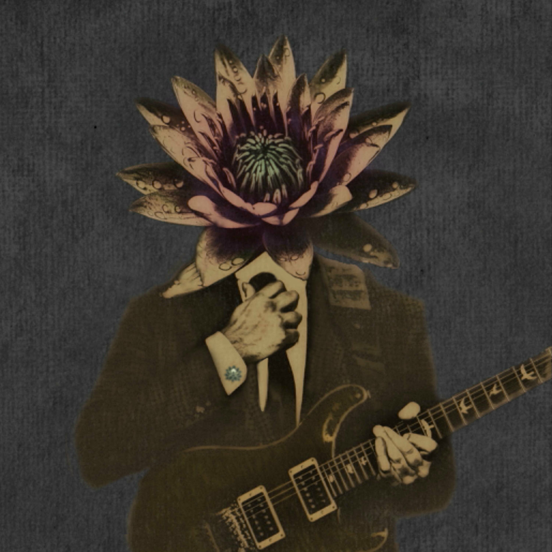 Tim Pierce - Guitarland | Deezer