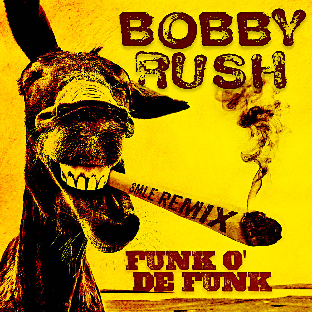 Funk O’ De Funk (SMLE Remix) cover