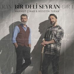 Cover of Bir Deli Seyran