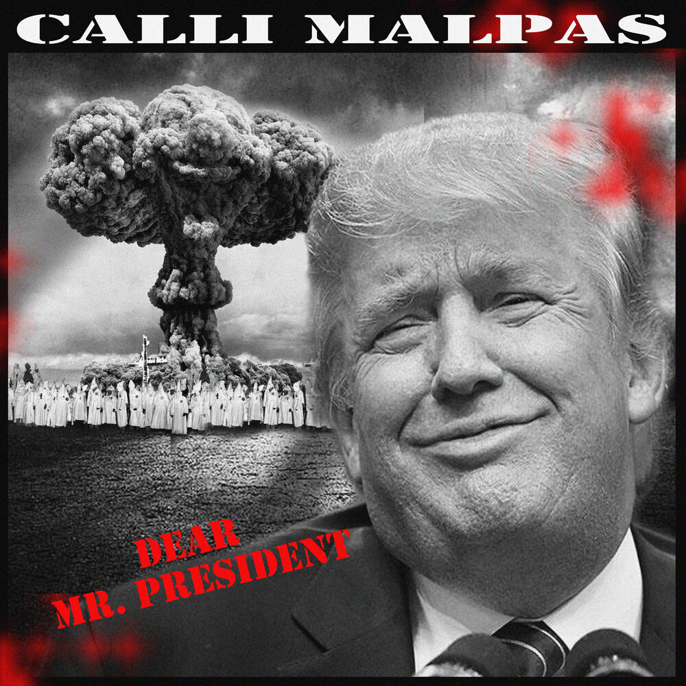 Picture of Dear Mr. President