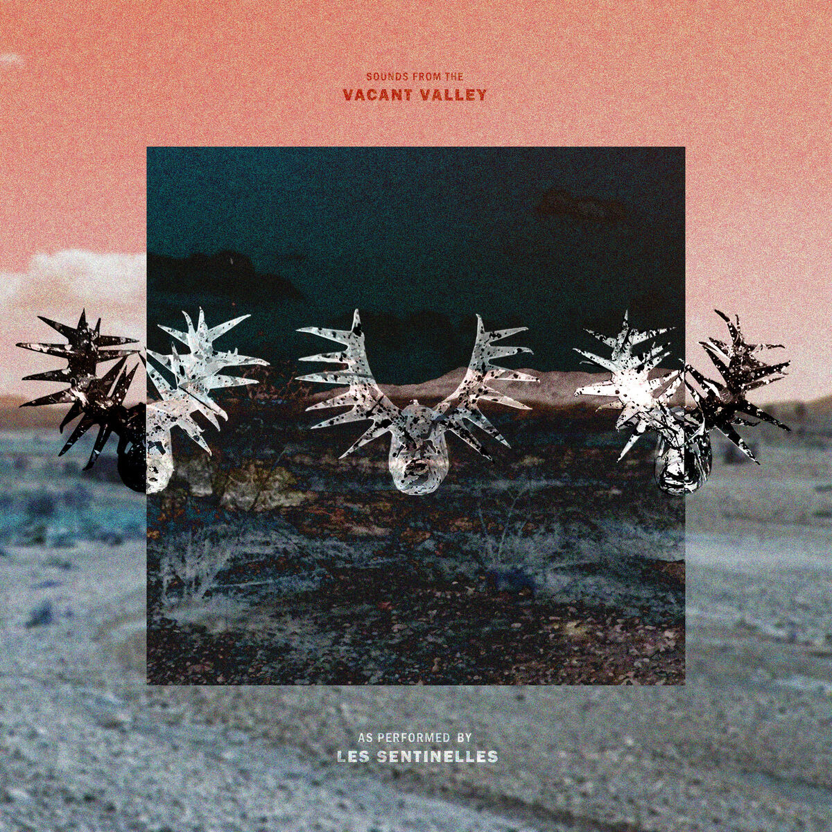 Album cover of Sounds from the Vacant Valley