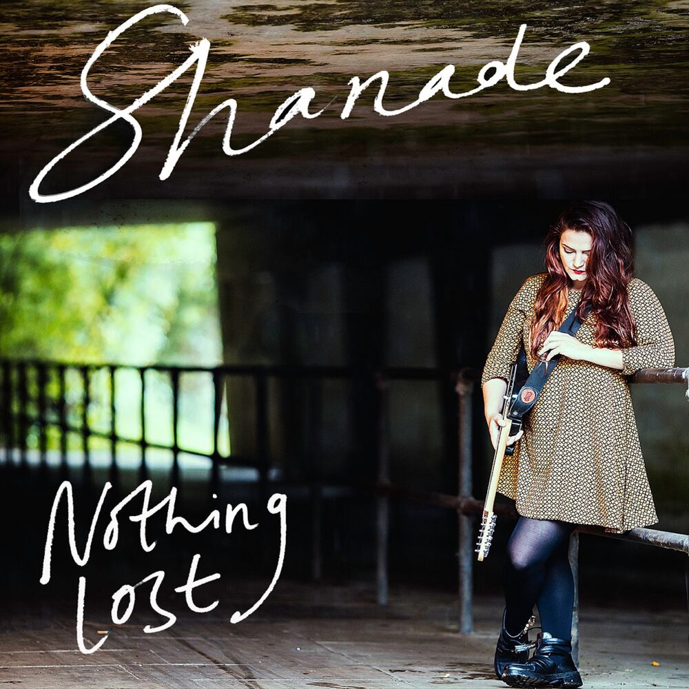 Picture of Nothing Lost