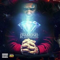 Cover of Diamond Blessings