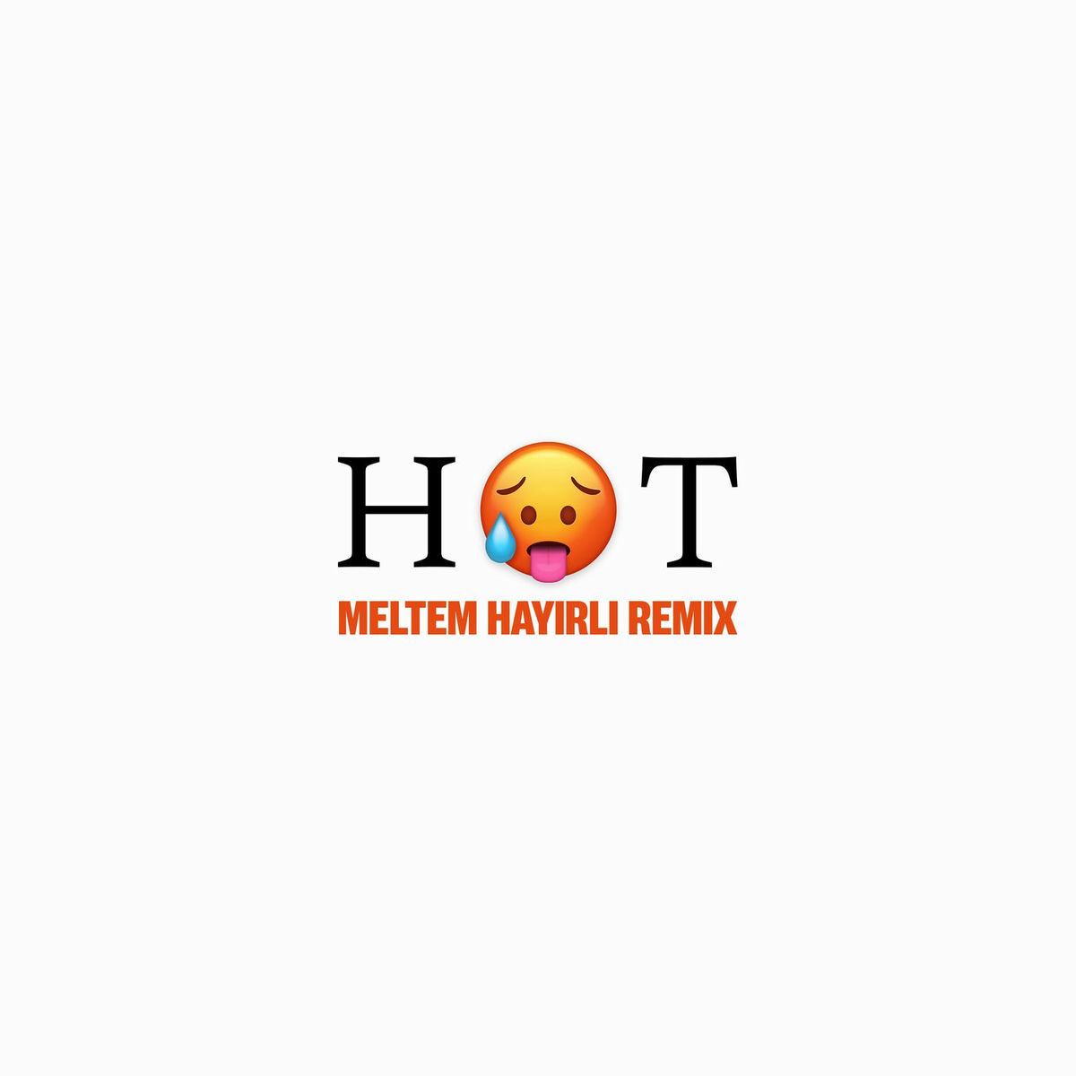 Album cover of HOT (Meltem Hayirli Remix)