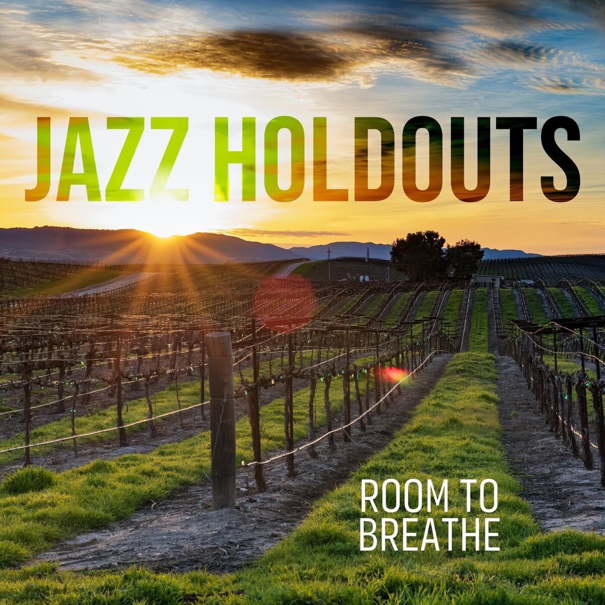 Album cover of Room to Breathe