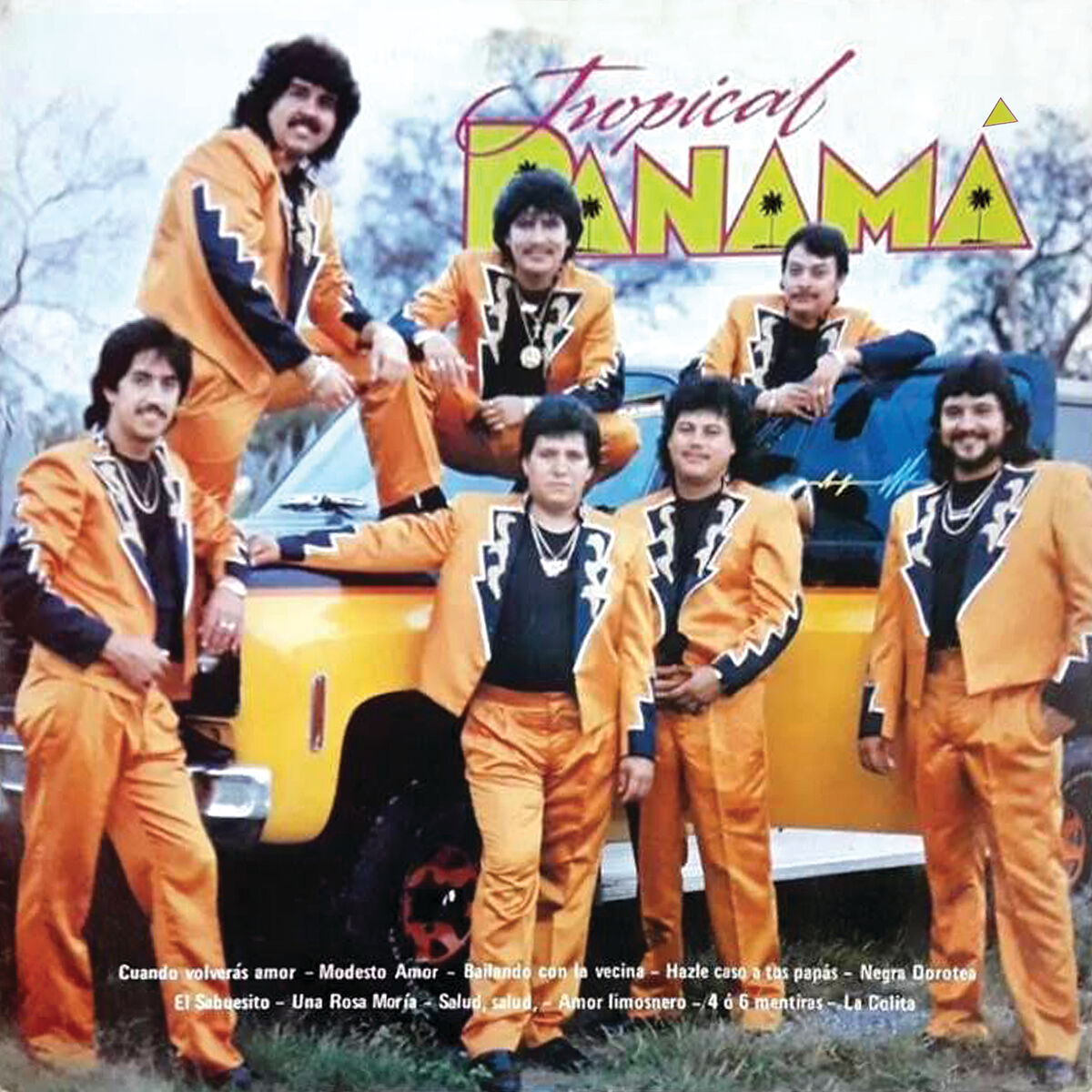 Album cover of Cuándo Volverás Amor
