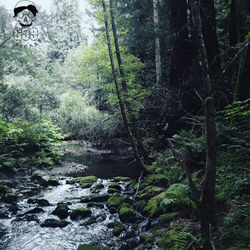 Cover of Meet Me Where the River Turns Grey