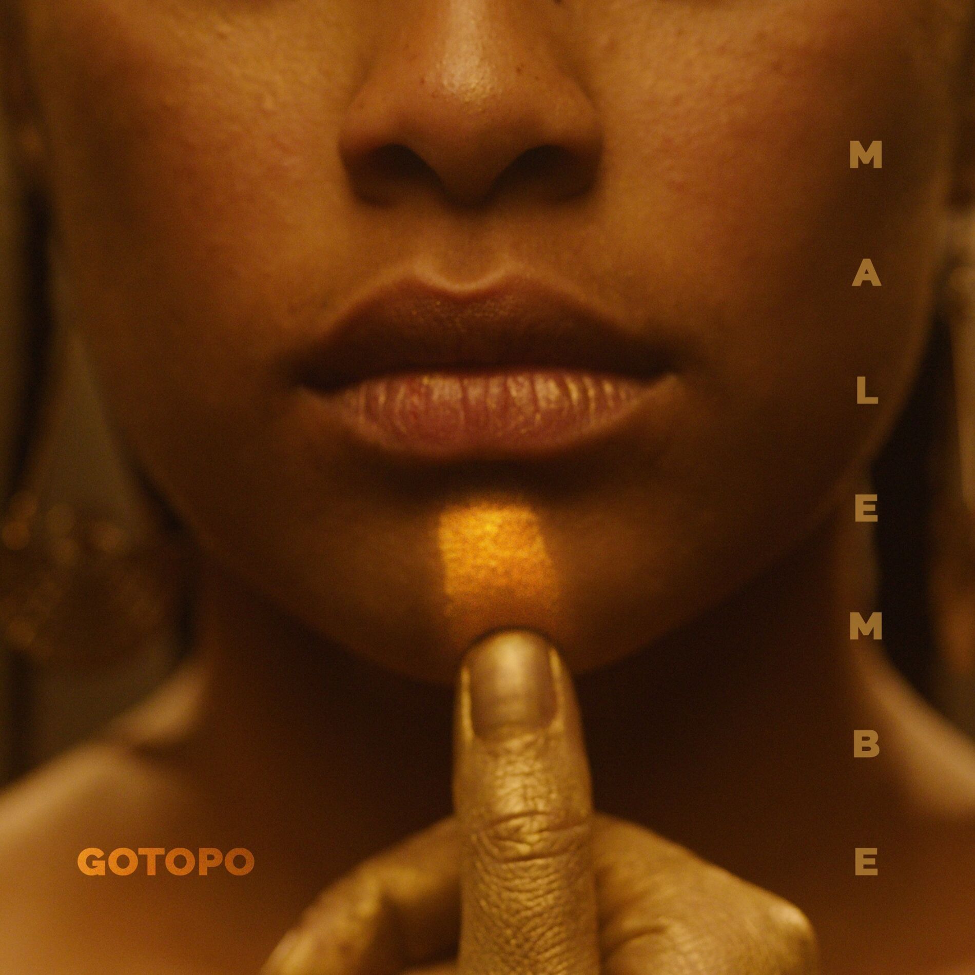 Album cover of Malembe