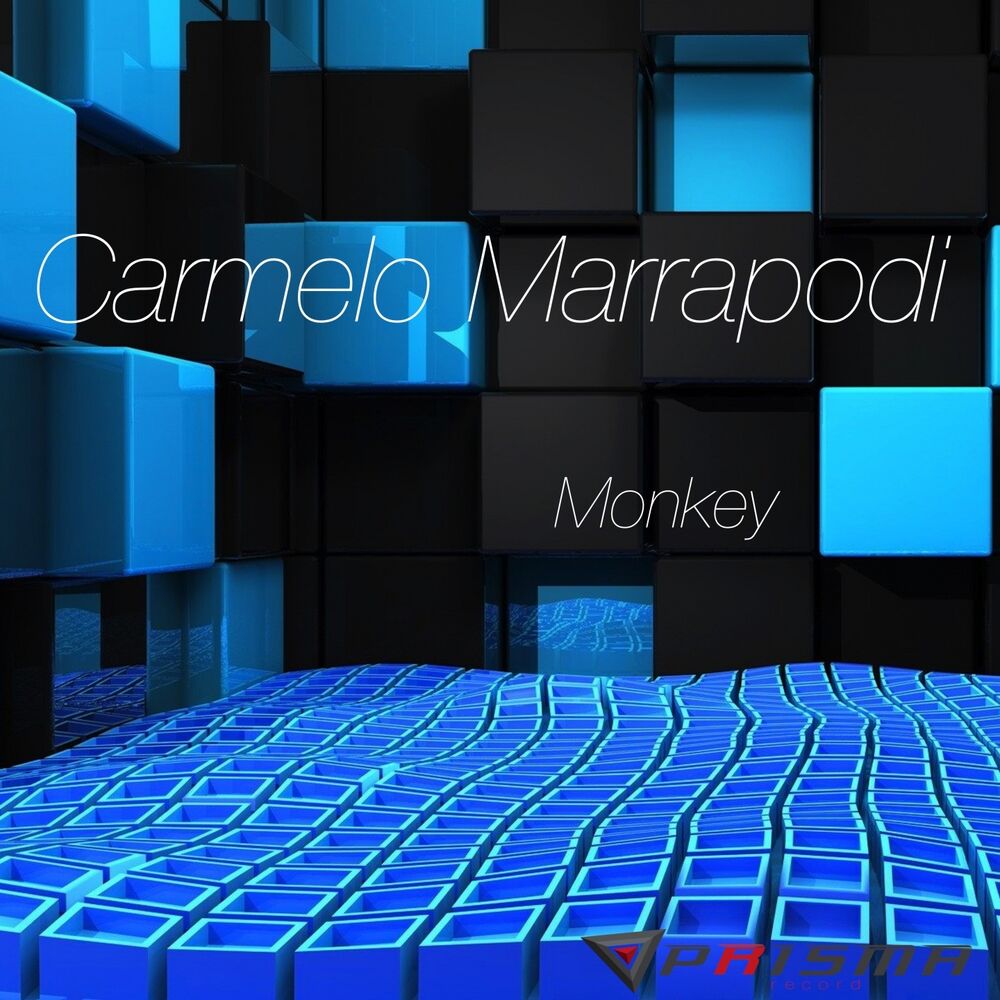 Picture of Monkey
