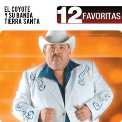 Cover of 12 Favoritas