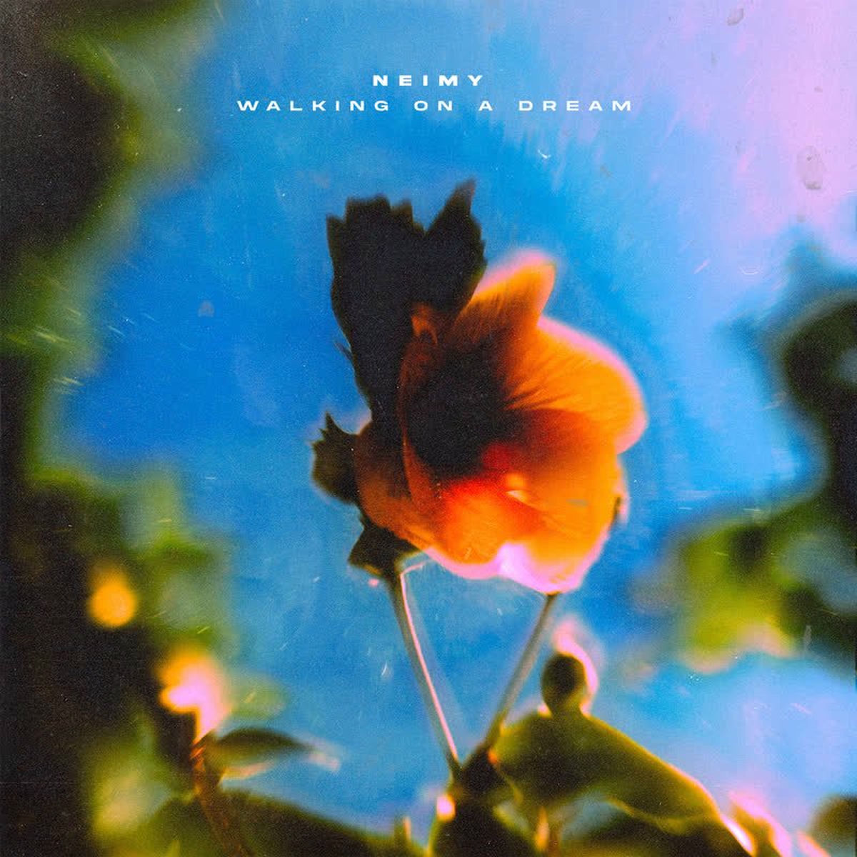 Album cover of Walking On a Dream