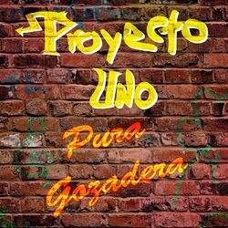 Cover of Pura Gozadera