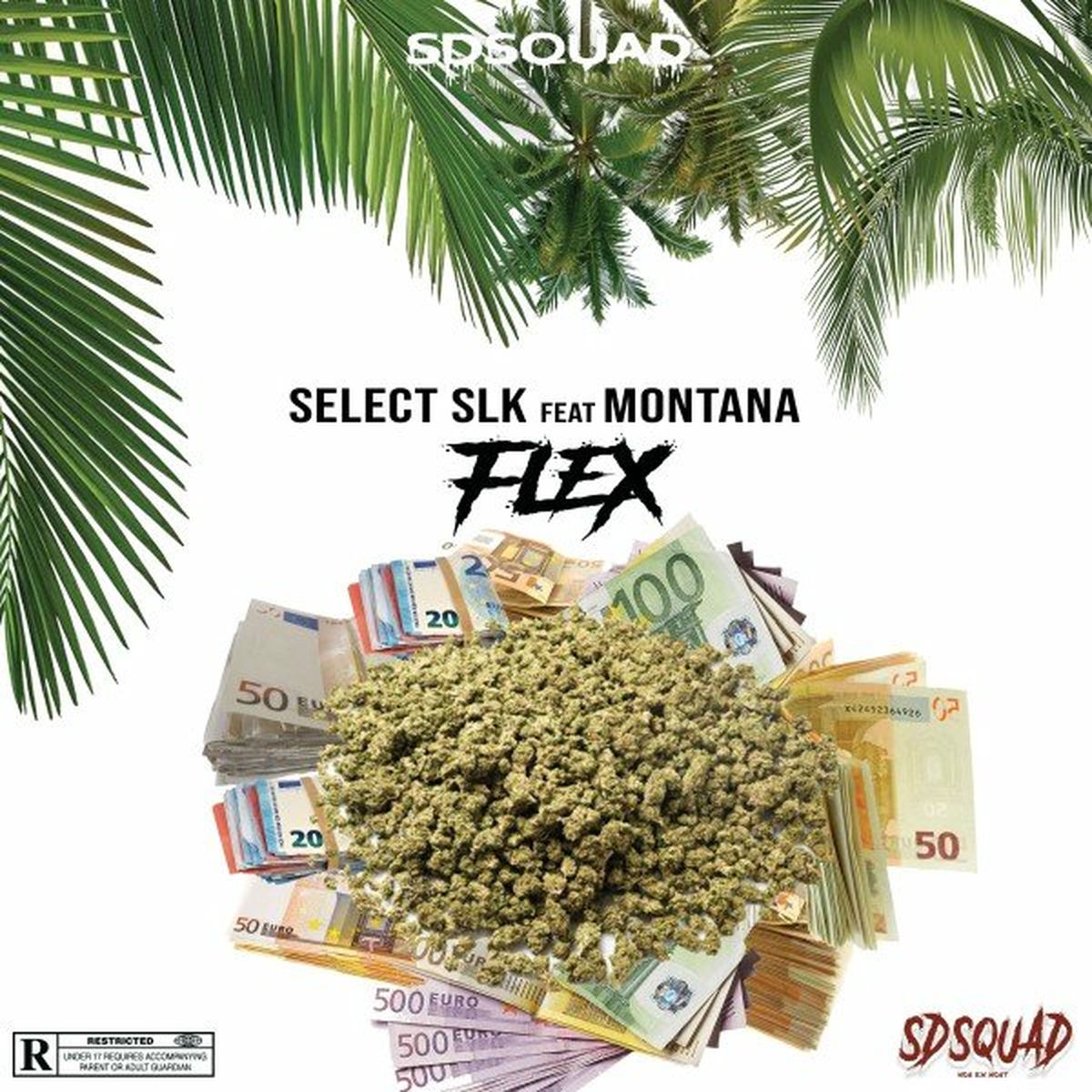 Album cover of Flex