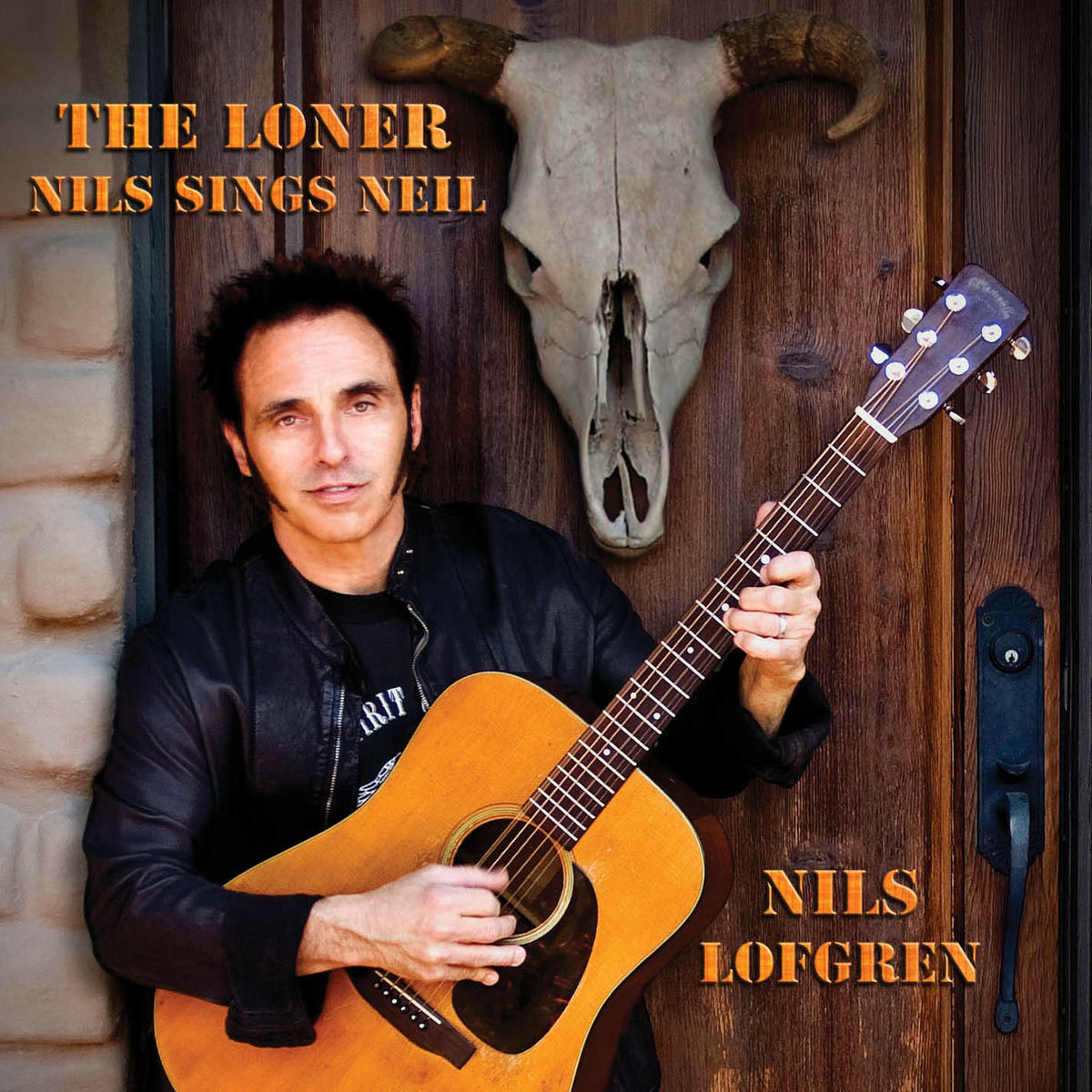 Album cover of The Loner: Nils Sings Neil