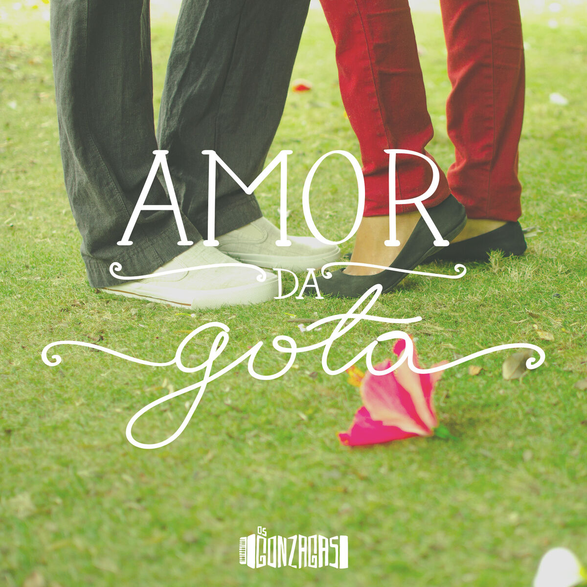 Album cover of Amor da Gota