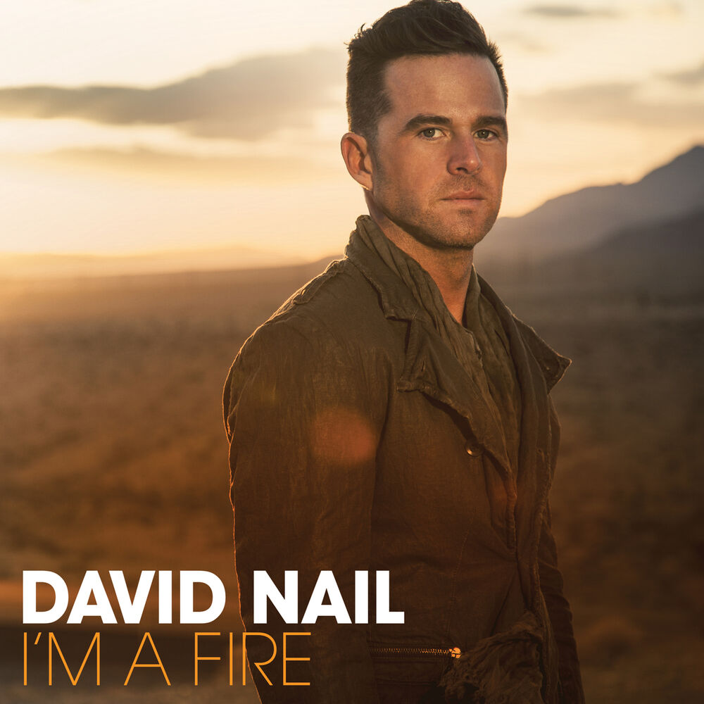 Picture of I'm A Fire