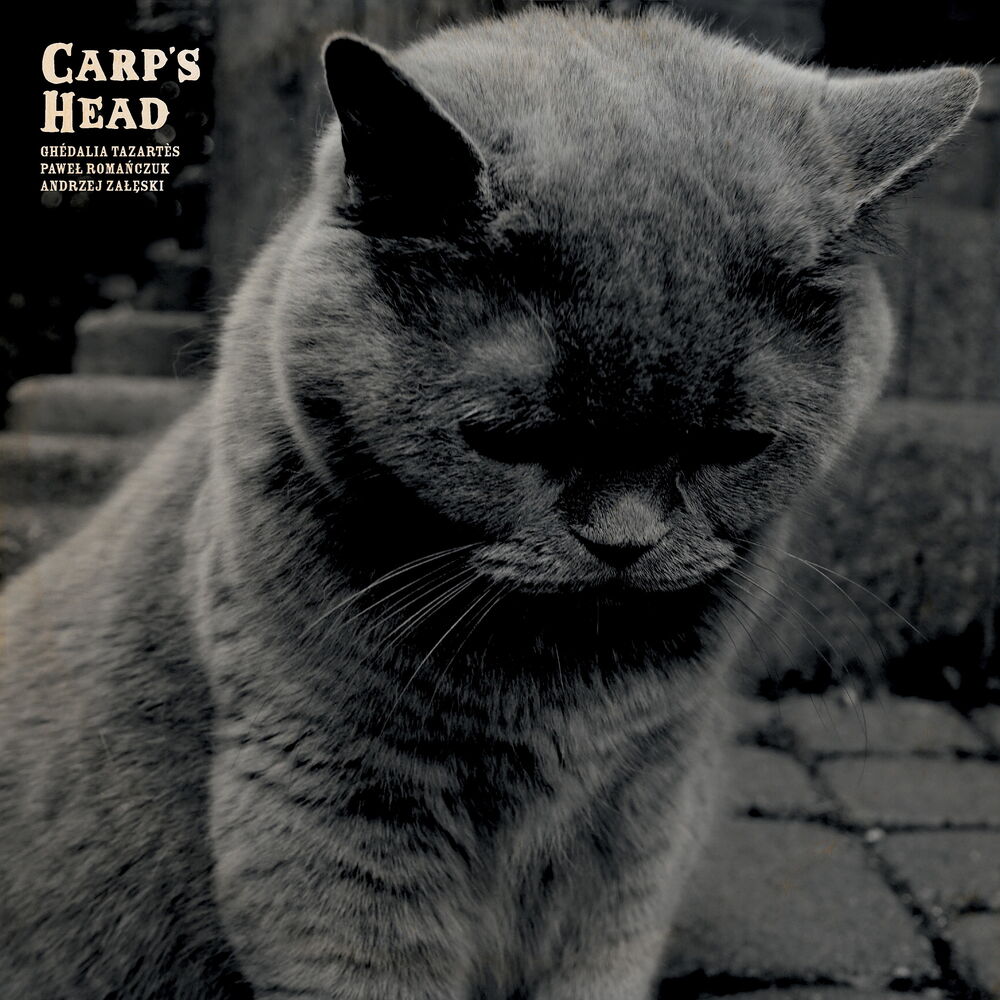 Picture of Carp's Head