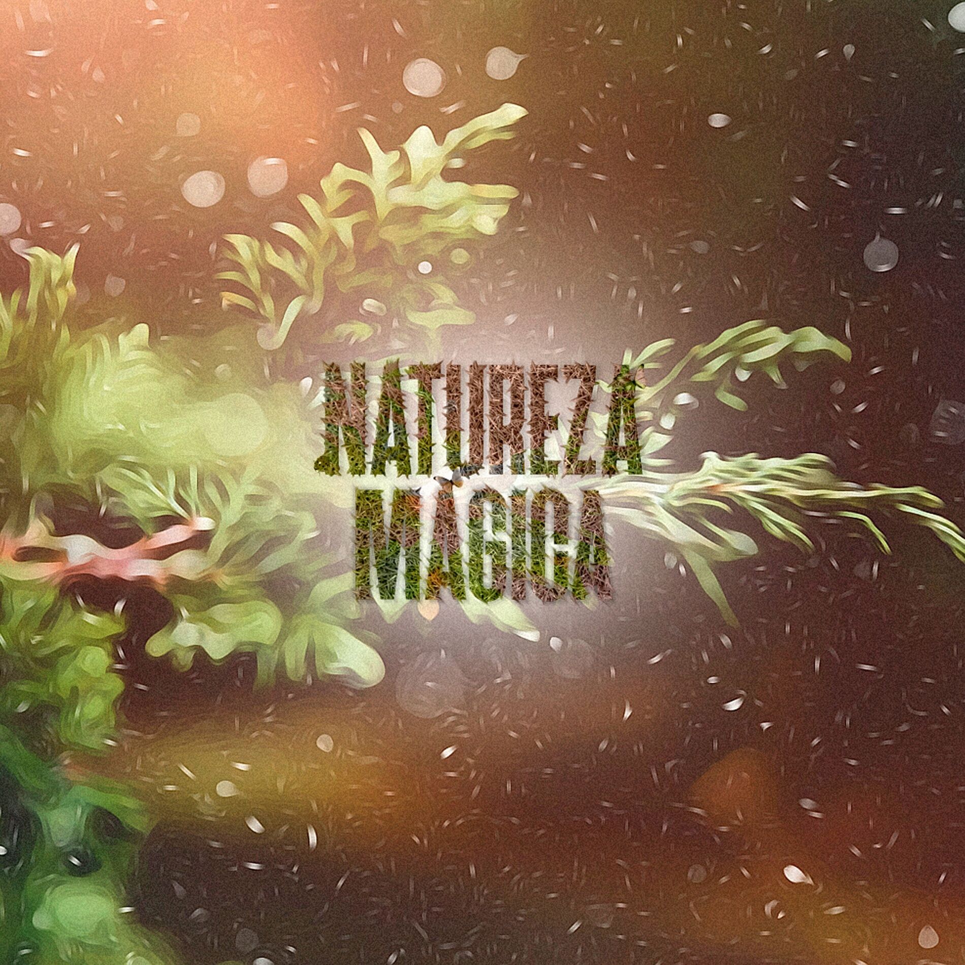Album cover of Cantoria de Natal