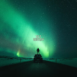 Cover of Destiny