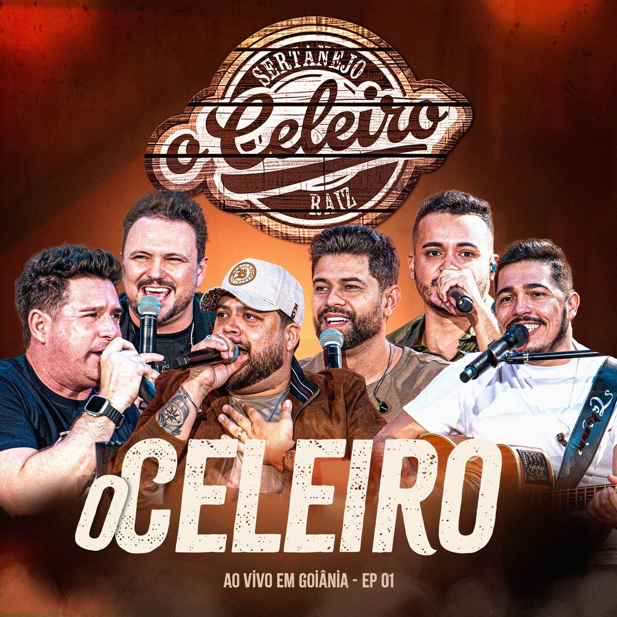 Album cover of Pele De Maçã / A Culpa É Sua / Pedras