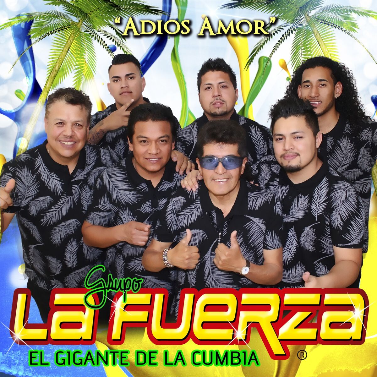 Album cover of Adiós Amor