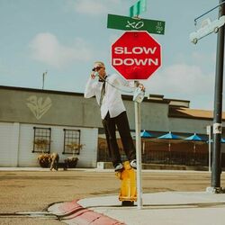 Cover of Slow Down