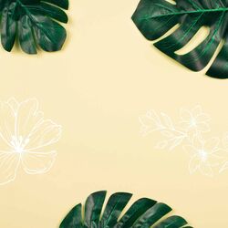 Cover of Backdrop for August Rejuvenation