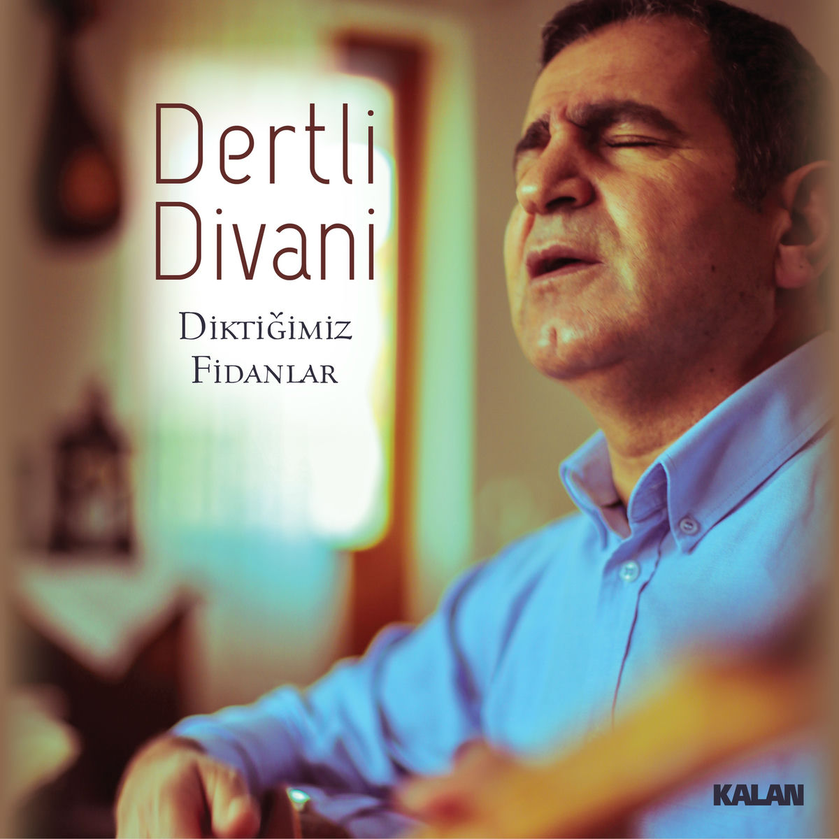 Album cover of Diktiğimiz Fidanlar