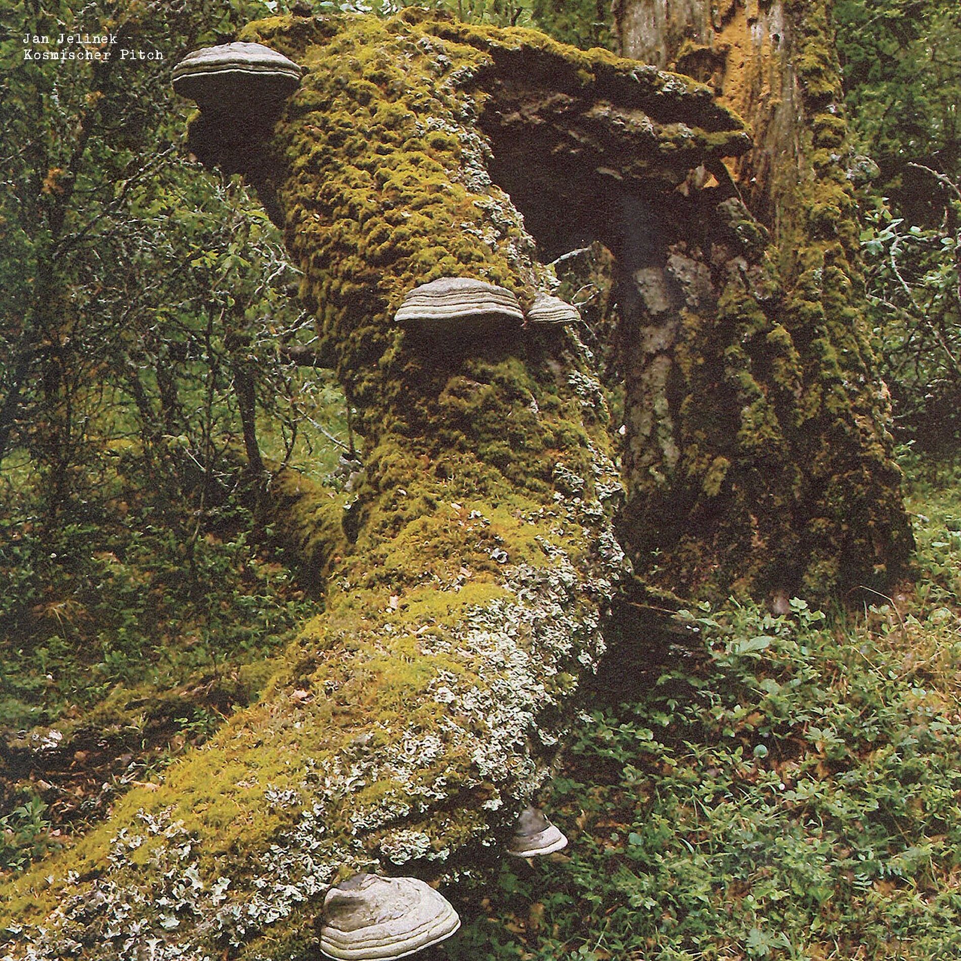 Album cover of Kosmischer Pitch