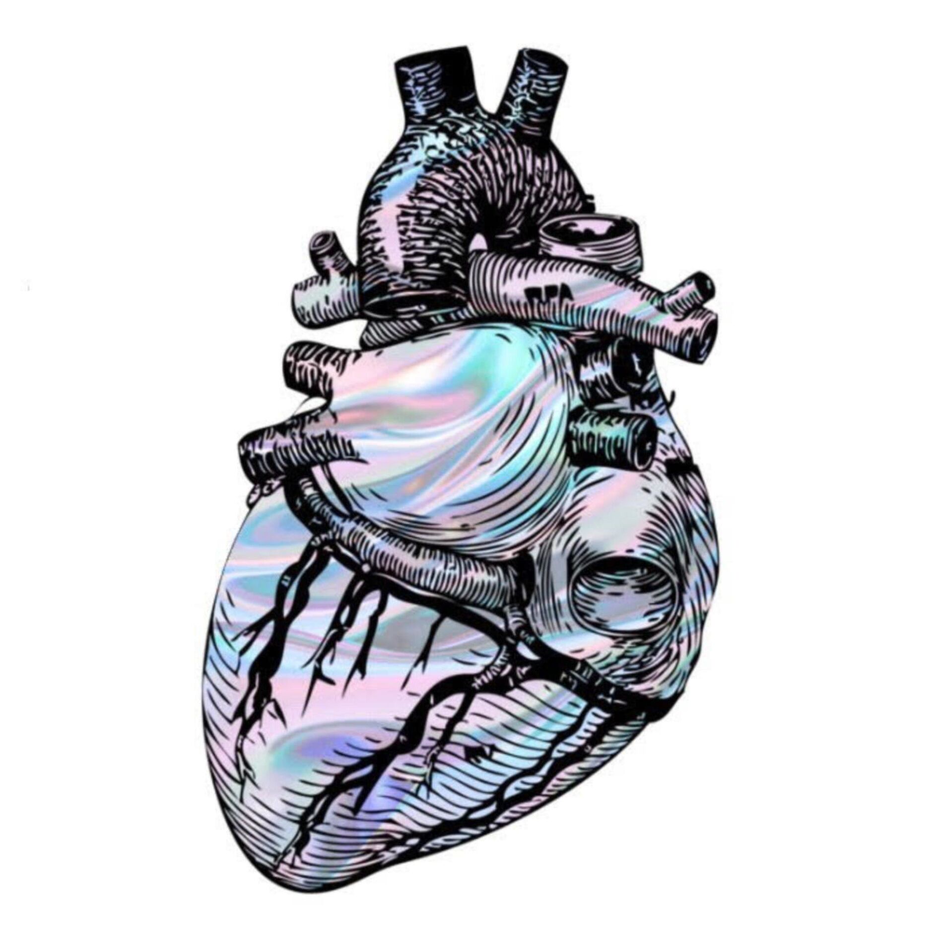 Album cover of Chrome Heart