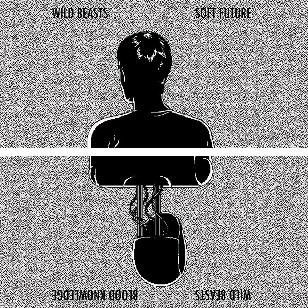 Picture of Soft Future