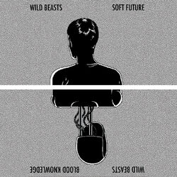 Cover of Soft Future