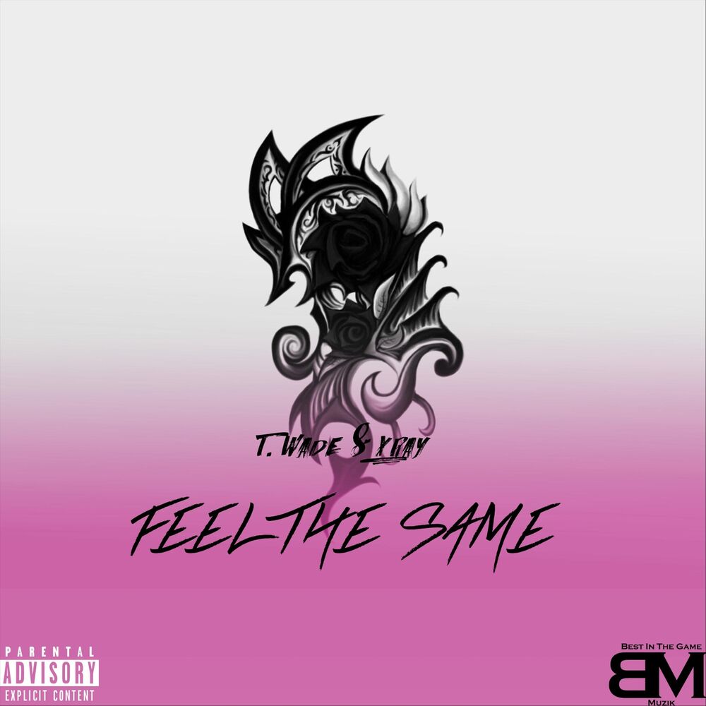 Picture of Feel the Same