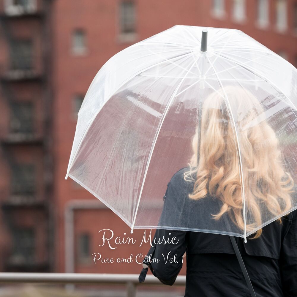 Picture of Rain Music: Pure and Calm Vol. 1