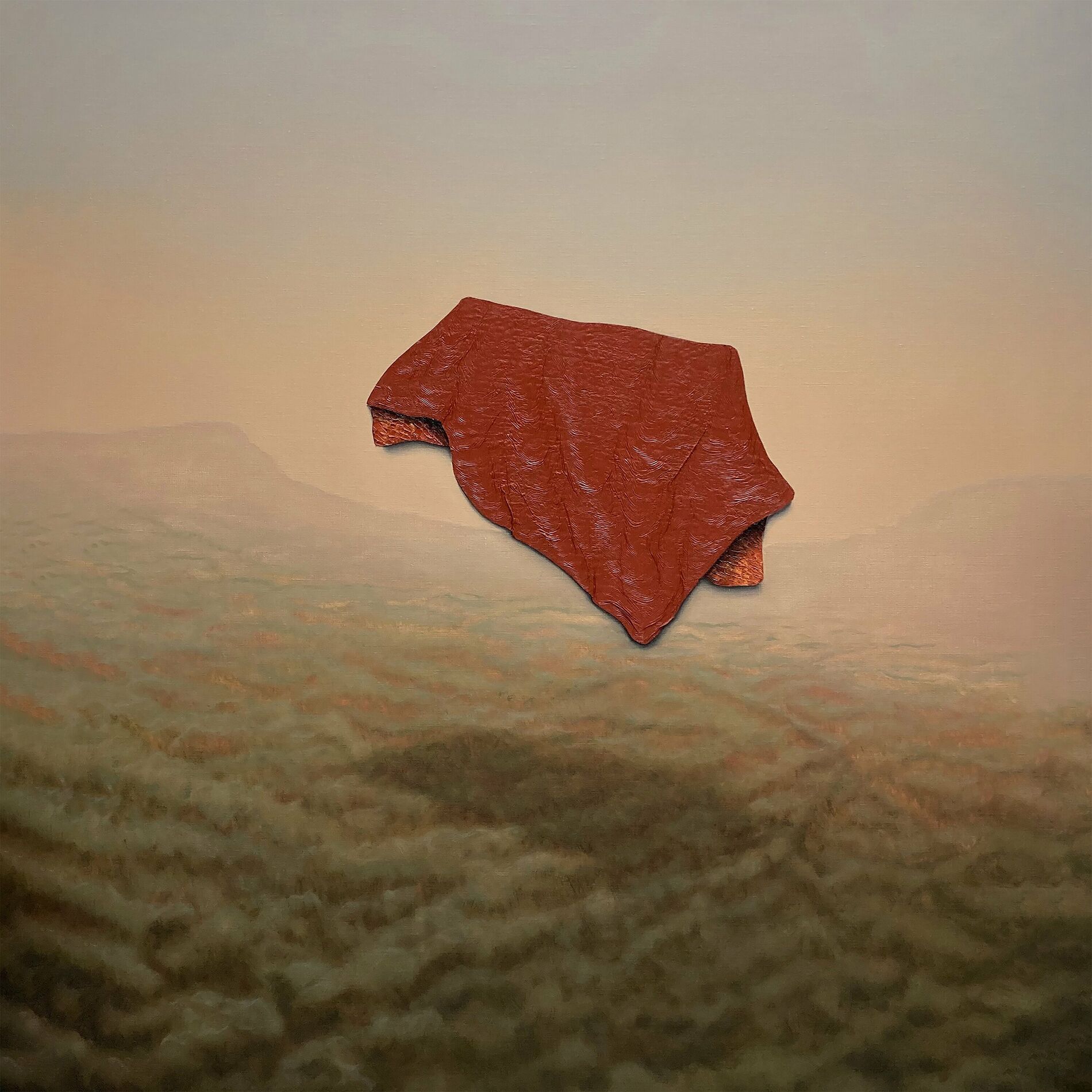 Album cover of Come with Me and Hide