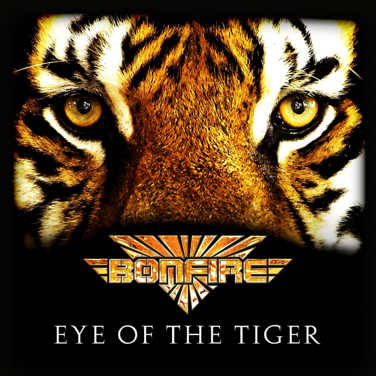 Album cover of Eye of the Tiger