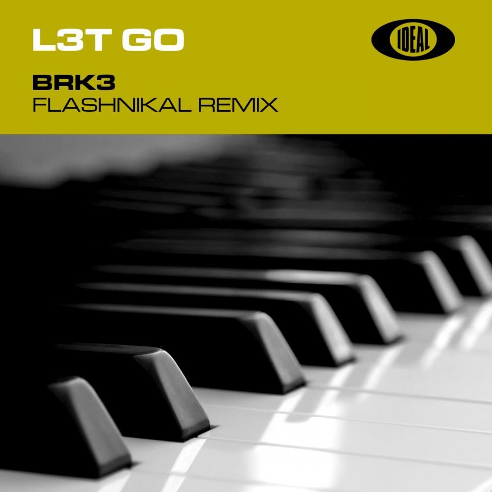 Picture of L3T G0 (Flashnikal Remix)