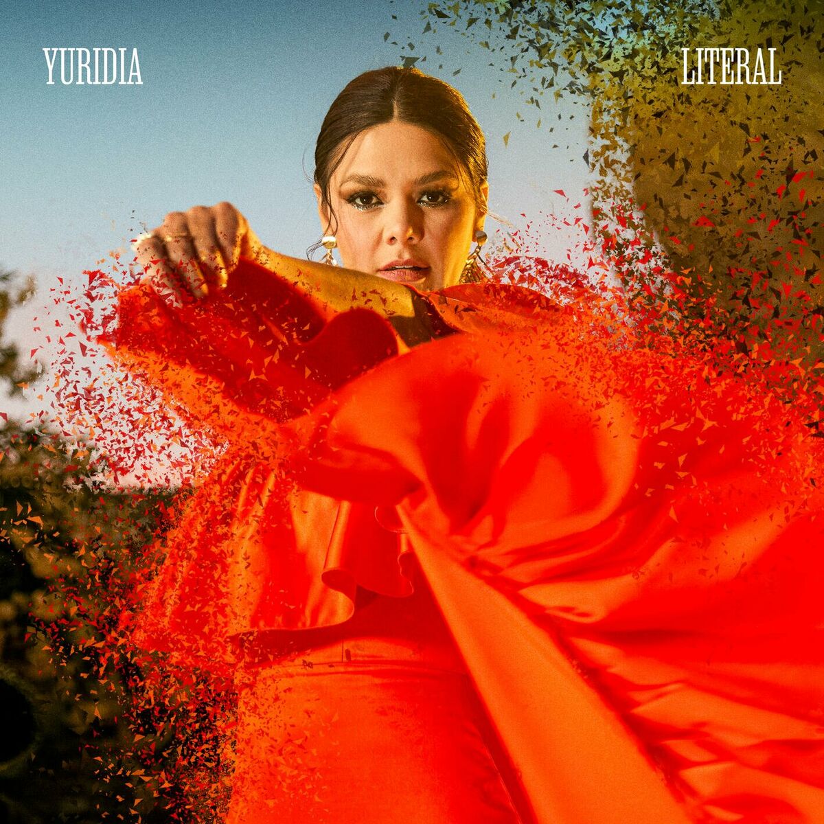 Album cover of Literal