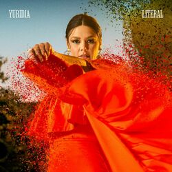 Cover of Literal